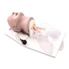 LIFEFORM ADULT AIRWAY MANAGEMENT TRAINER WITH STAND