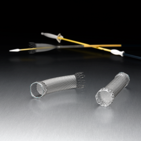 WallFlex Partially Covered Esophageal Stent