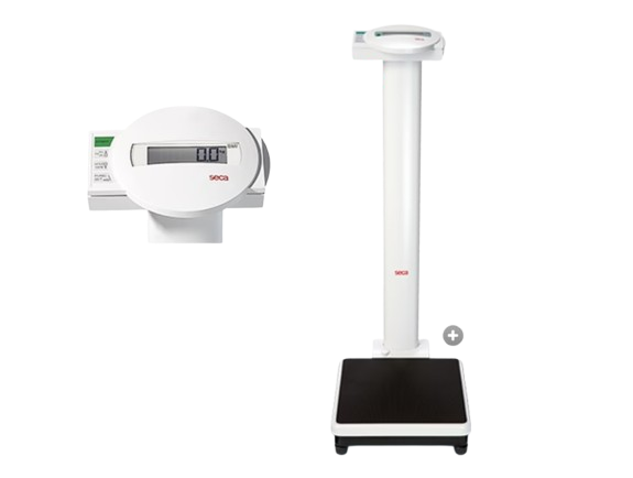 ELECTRONIC COLUMN SCALES WITH BMI FUNCTION SECA 799