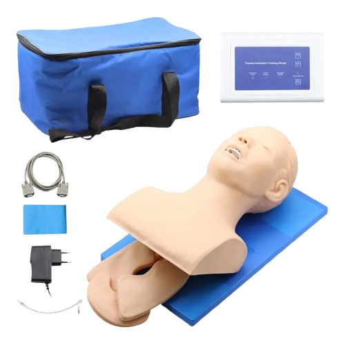 ENDOTRACHEAL INTUBATION HUMAN MODEL 220V ORAL NASAL INTUBATION AIRWAY MANAGMENT TRAINNING AID KIT FOR EDUCATION/PRACTICE